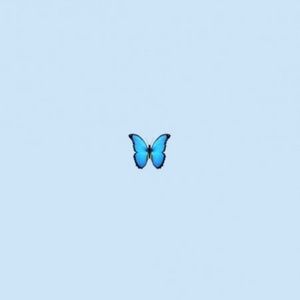 Meet your Posher, Dixie